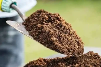 Manfaat topsoil untuk reklamasi tambang