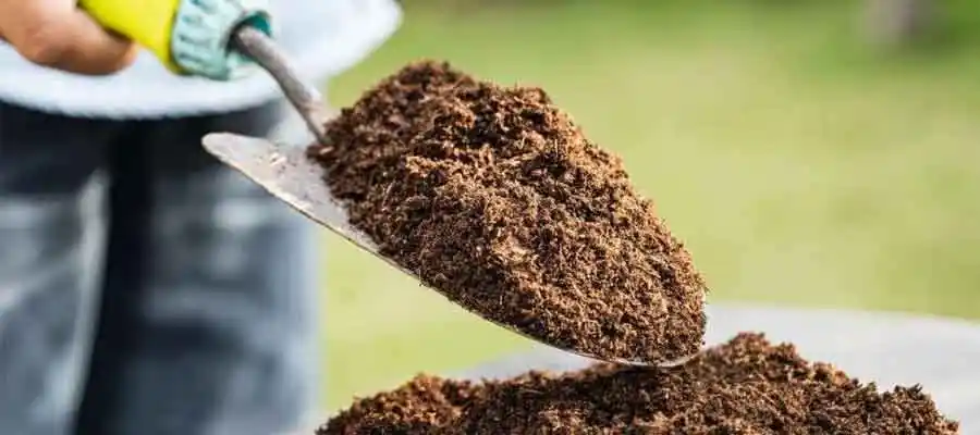 Manfaat topsoil untuk reklamasi tambang
