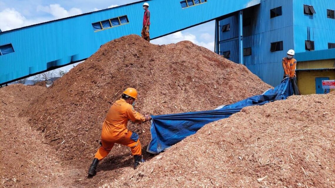peluang usaha bahan bakar biomassa