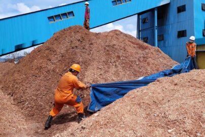 peluang usaha bahan bakar biomassa