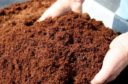 sabut kelapa untuk kompos, pupuk kompos, pengolahan sabut kelapa, limbah kelapa, bahan organik, kompos alami, pengomposan, pertanian organik