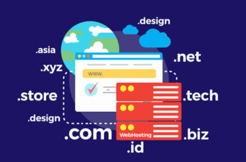 cara mengelola domain website
