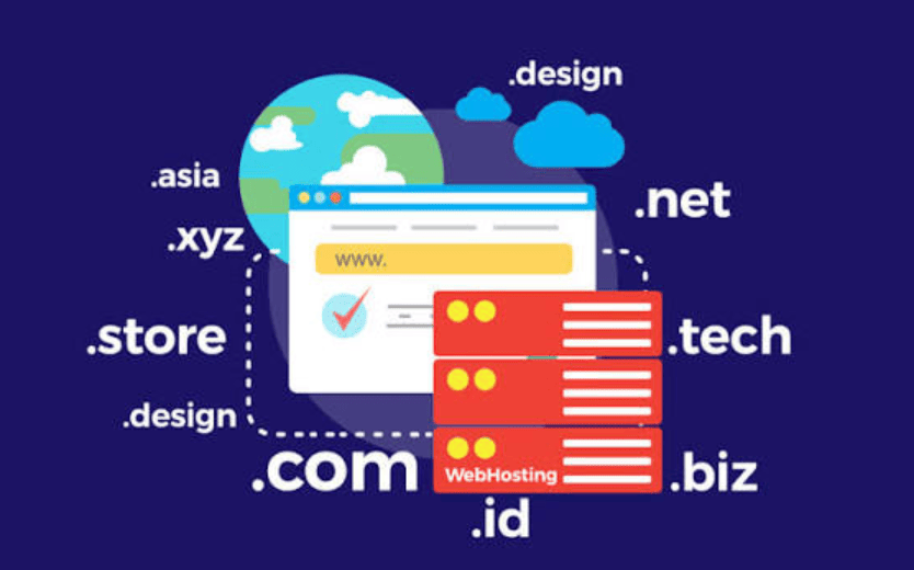 cara mengelola domain website