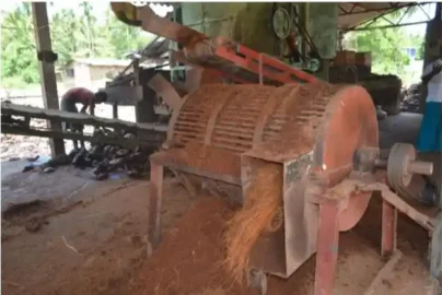 cara mengolah sabut kelapa untuk media tanam