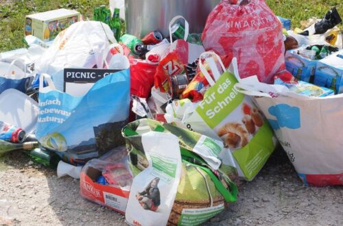 pengelolaan sampah untuk lingkungan bersih
